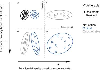 The importance of trait selection on the meaning of functional diversity in benthic studies